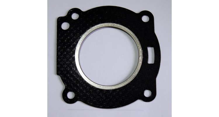 Galvas blīve, 309-01005-2